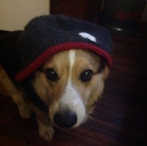 Meet your Posher, Travis